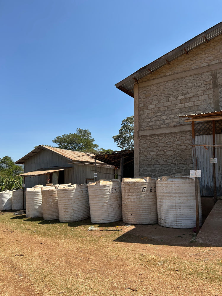 ETHIOPIA】WORKA SAKARO -RIPED CHERRY- – PASSAGE COFFEE WEBSITE