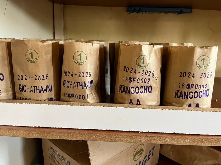 【KENYA】Kangocho AA Natural