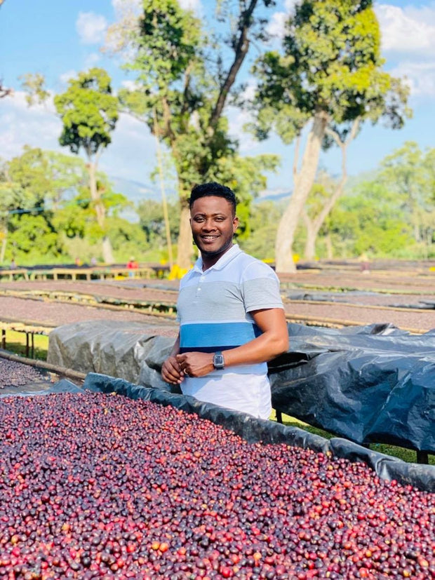 [LIMITED]【ETHIOPIA】TAMIRU TADESSE ALO BERRY (UNDER SCREEN)