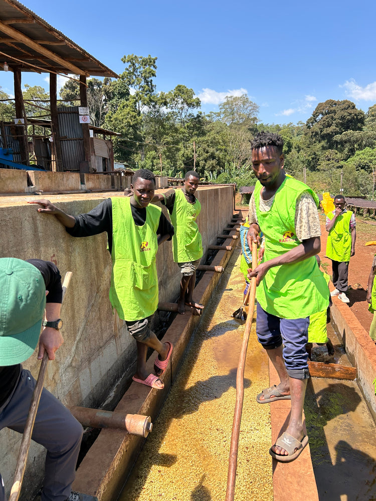 ETHIOPIA】WORKA SAKARO -RIPED CHERRY- – PASSAGE COFFEE WEBSITE