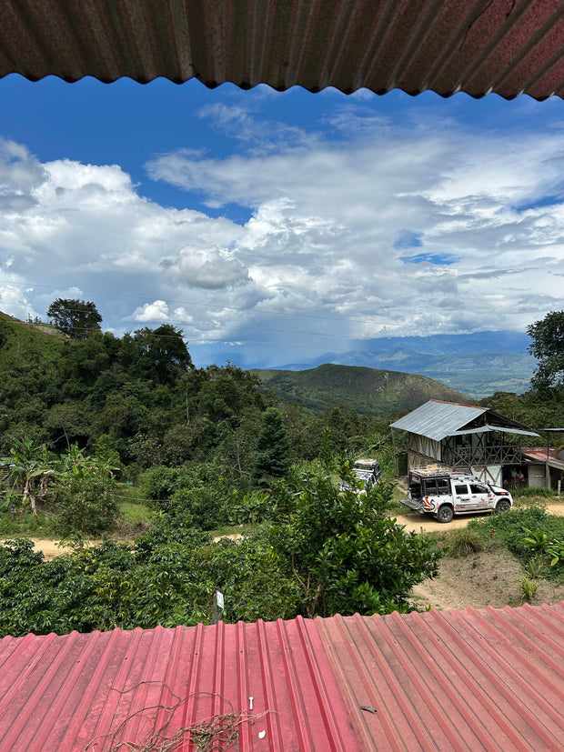 【COLOMBIA】Carina Andrea  Claros CWCF