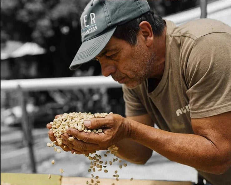 【COSTA RICA】DON ELI Geisha