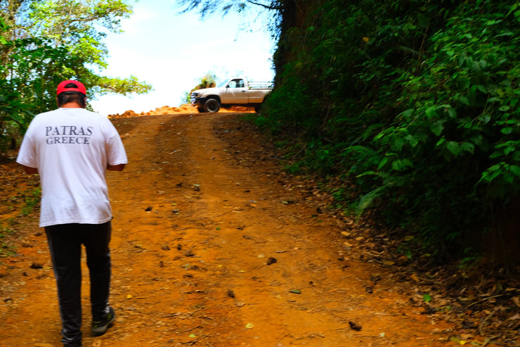 【COSTA RICA】DON ELI Geisha