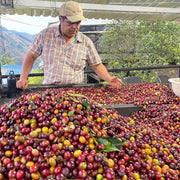 【COLOMBIA】Raul Duran Espresso