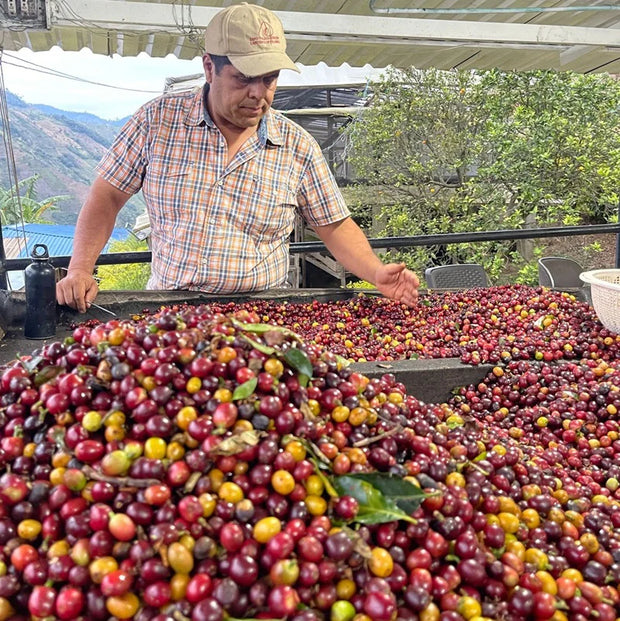 【COLOMBIA】Raul Duran Espresso