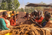 【ETHIOPIA】GEDEB WORKA